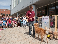 TdoT 2014 057  Tag der offenen Tür am Campus der Veterinärmedizinischen Universität Wien am 24. Mai 2014. Im Bild: MitarbeiterInnen des Clever Dog Labs (Messerli Forschungsinstitut) stellen unterschiedliche Lerntests für Hunde vor.